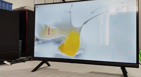 24 ιντσών T2S2 Ψηφιακή μικρού μεγέθους LCD τηλεόραση χωρίς λειτουργικό σύστημα με πολυμέσα